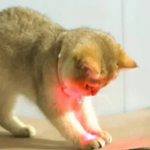 Rechargeable LED Pet Collar with Interactive Laser Toy for Cats & Dogs - Automatic Teaser & Light-Up Fun!