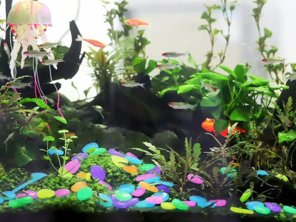 150PCS Glow-in-Dark Luminous Stones – Mixed Color Decorative Rocks for Aquarium, Garden, Path & Patio - Image 6