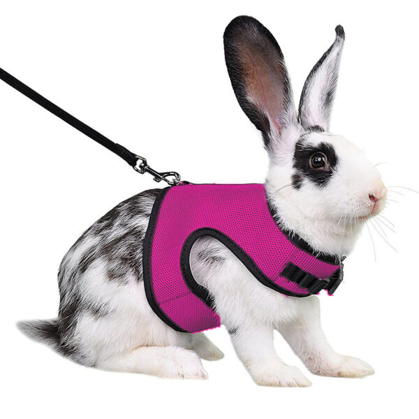 Mesh Breathable Pet leash Ferret Leash Set for Small Animals Rabbit Hamsters Summer Walking Pet Lead mascotas Accessories - Image 8