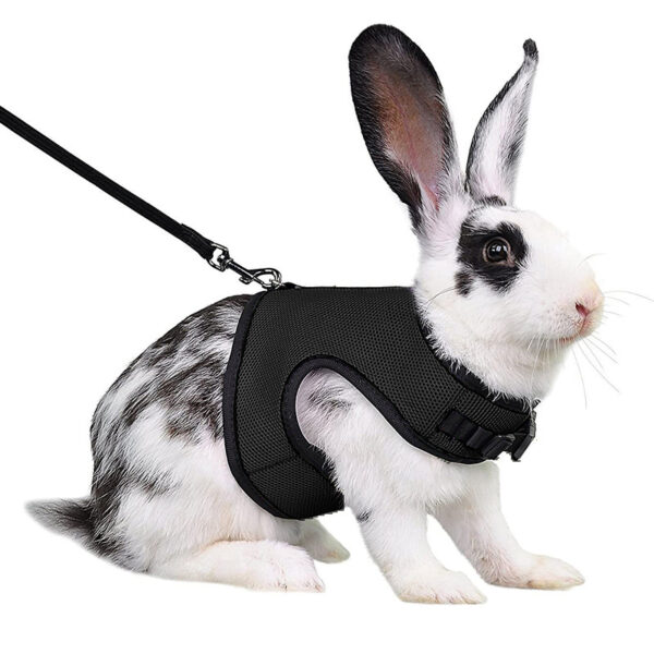 Mesh Breathable Pet leash Ferret Leash Set for Small Animals Rabbit Hamsters Summer Walking Pet Lead mascotas Accessories - Image 7