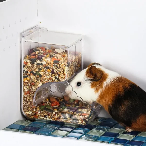 Hamster Rabbit Food Dispenser Feeder Plastic Clear Automatic Pet Feeder For Hamster Guinea Pigs Food Bowl Container - Image 2
