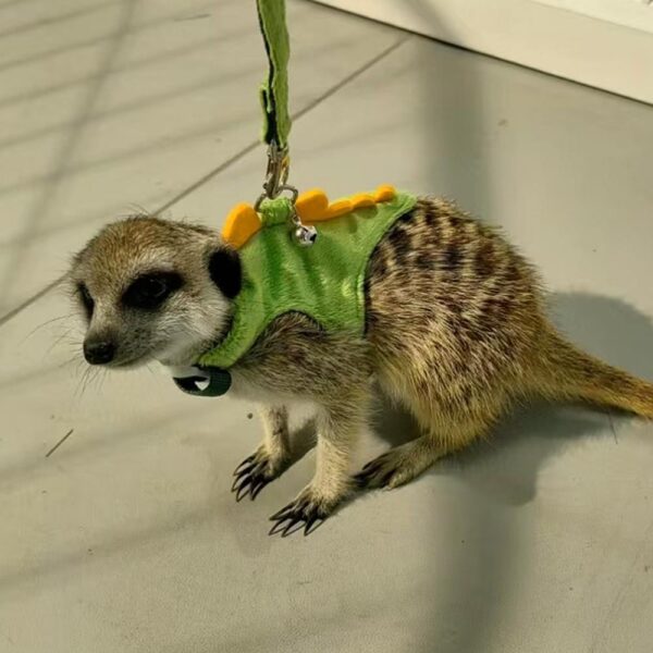 Sweet Dinosaur Design Ferret Harness With Bell Pet Outdoor Walking Items Small Harness Vest Adjustable Rope Cute Useful Rope - Image 3