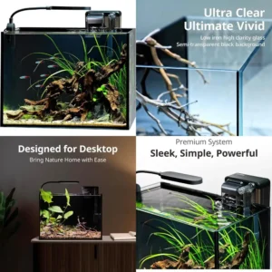 2.5 Gallon Nano Nature Aquarium Kit, Ultra-Clear Rimless Desktop Fish Tank with Light and Filter, Perfect for Small Fish, Shrim