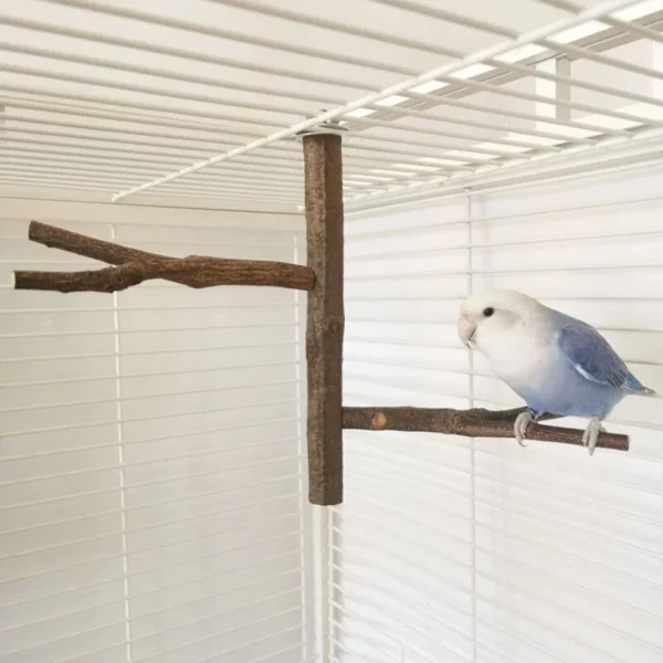Multi Stand Branch Parrot Perch Bird Cage Toys Natural Bird Perch Stand for Small Budgies Conure Parrot Parakeets Bird Toy - Image 2