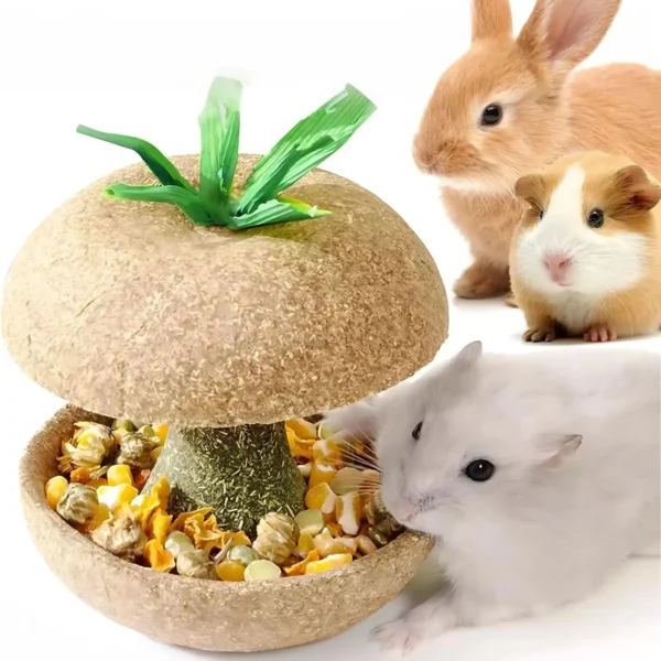 Apple Core Shaped Hamster Chew Toy - Natural Small Pet Dental Treat for Guinea Pig, Rabbit, Chinchilla, Rat - Image 7