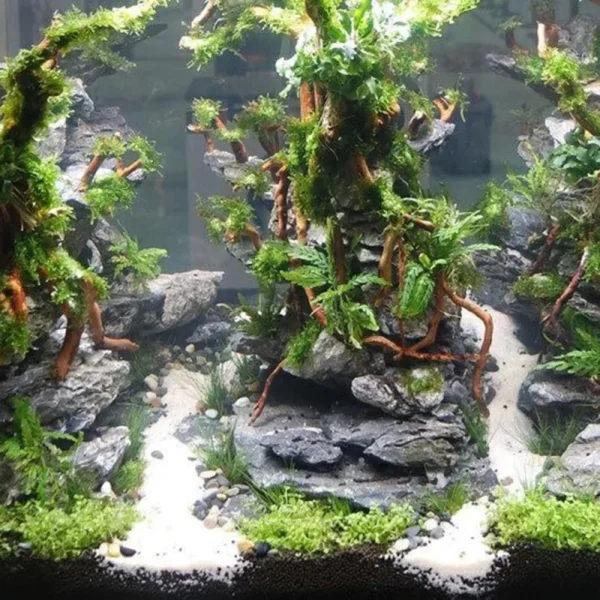 Aquarium Micro Landscape Natural Driftwood Root Trunk Tree DIY Home Fish Tank Ornaments Supplies - Image 4