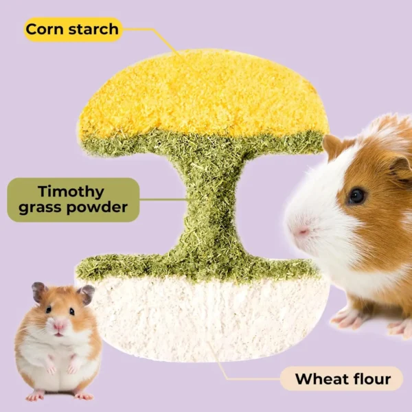 Apple Core Shaped Hamster Chew Toy - Natural Small Pet Dental Treat for Guinea Pig, Rabbit, Chinchilla, Rat - Image 4