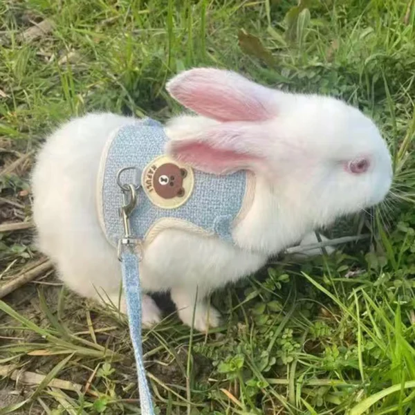 Newest Cute Rabbit Harness and Leash Set Bunny Pet Accessories Vest Harnesses Rabbit Leashes for Outdoor Walking Pets Supplies - Image 4