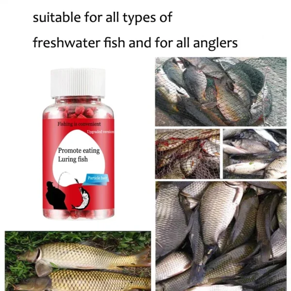 Universal concentrated bait, red fragrant fish food granules, aquatic feed, sea bass fishing bait, outdoor fishing accessories - Image 3