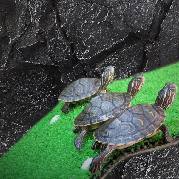 Rock Decorative Panels Reptile Tank Background Backdrop Lizard Decorations Habitat for Aquarium Cage Container Turtle - Image 3