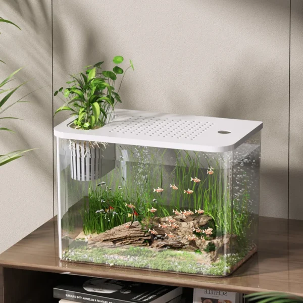 PET+ABS Transparent with Lid Aquarium Drop Resistant Hydroponic Tank Turtle Tank Fish Tank - Image 2