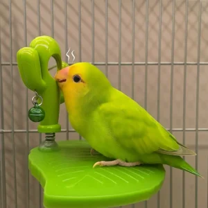 Funny Leaves Shape Bird Perch Stand Wear Resistant Cactus Parrot Play Stands with Bells Bird Playground Stand Cage Accessories