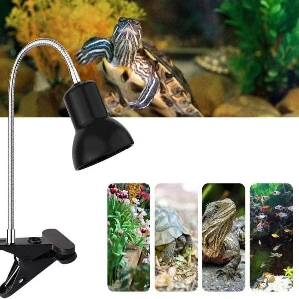 E27 Reptile Heating Lamp Lampshade American and European Standard Shower Lamp Holder Calcium Supplement Lamp Lizard Turtle - Image 2