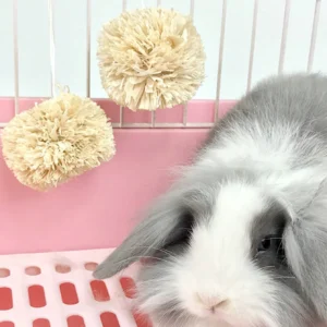 1pc-Rabbit Corn Leaf Ball Rabbit Guinea Pig Totoro Teeth Grinding Toy Snack Corn Leaf Teeth Grinding Ball