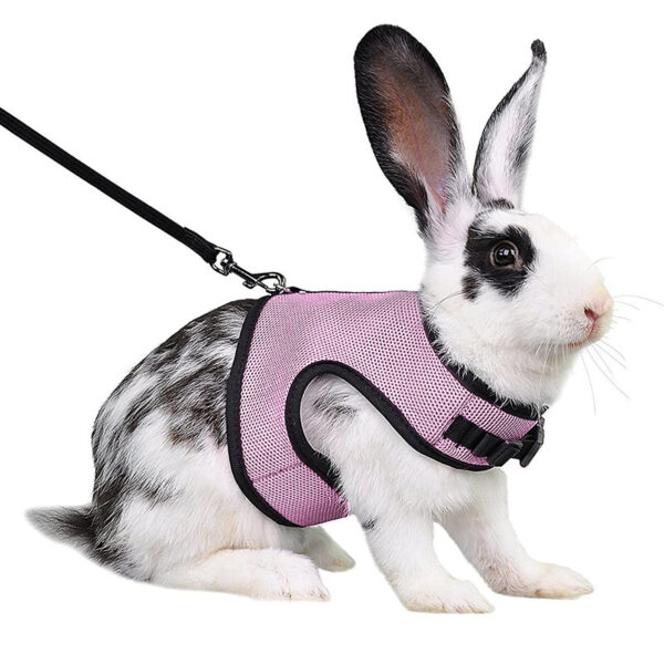 Mesh Breathable Pet leash Ferret Leash Set for Small Animals Rabbit Hamsters Summer Walking Pet Lead mascotas Accessories - Image 10