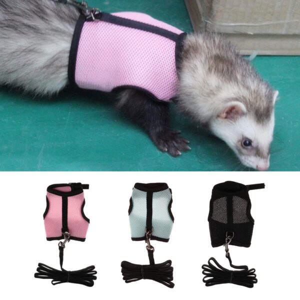 Adjustable Ferret Harness/Baby Rabbit/Squirrel/Hamster Rat Mouse Leash Lead Rope - Image 3