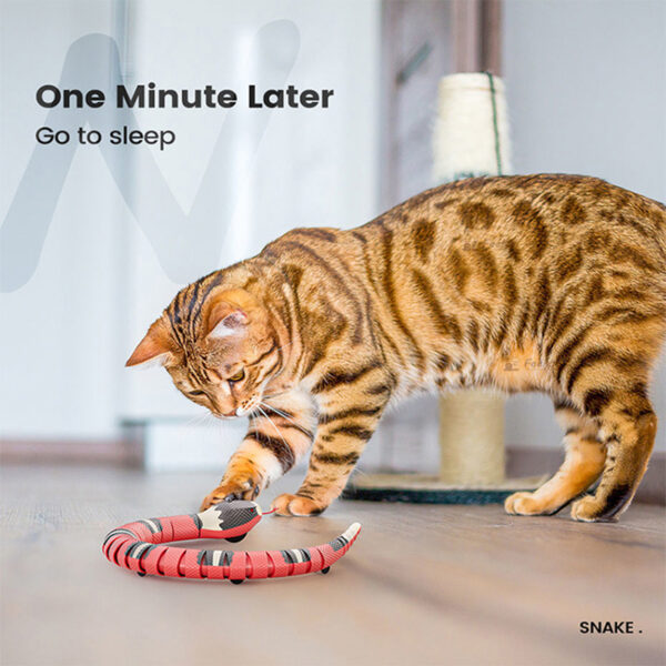 Automatic Cat Toys Interactive Smart Sensing Snake TeaseToys for Cats USB Charging Cat Accessories for Pet Cats  Game Play To - Image 6