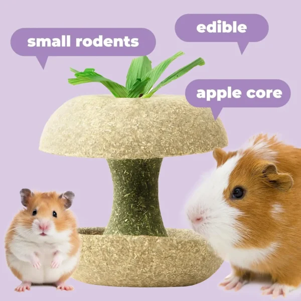 Apple Core Shaped Hamster Chew Toy - Natural Small Pet Dental Treat for Guinea Pig, Rabbit, Chinchilla, Rat - Image 2