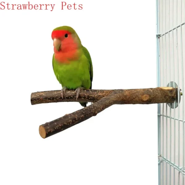 Natural Wood Pet Parrot Raw Wood Fork Tree Branch Stand Rack Squirrel Bird Hamster Branch Perches Chew Bite Toys Stick - Image 3