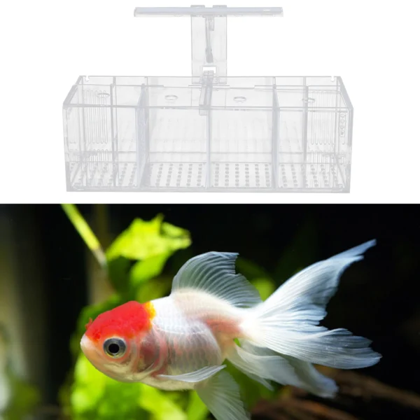 4-Grid Acrylic Fish Tank with LED Light, 2.5W Low-Power, IPX8 Waterproof, Tabletop Aquarium for Fighting Fish, Shrimp & More - Image 6