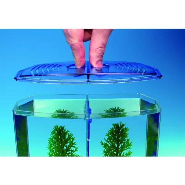 A fish tank suitable for families, with a lid and a partition inside. Suitable for raising small and medium-sized fish - Image 5