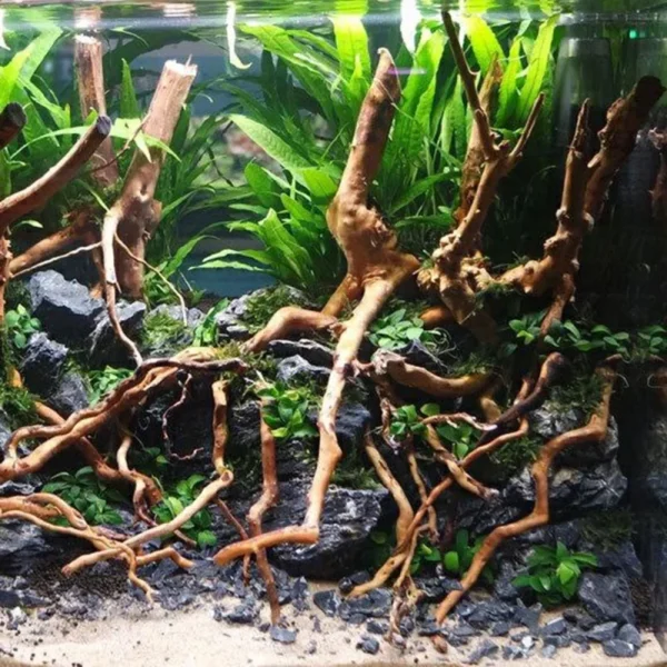 Aquarium Micro Landscape Natural Driftwood Root Trunk Tree DIY Home Fish Tank Ornaments Supplies - Image 3