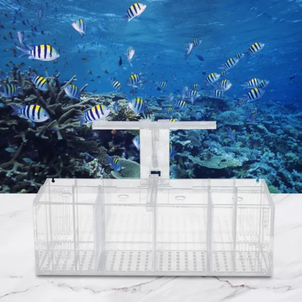 4-Grid Acrylic Fish Tank with LED Light, 2.5W Low-Power, IPX8 Waterproof, Tabletop Aquarium for Fighting Fish, Shrimp & More - Image 5