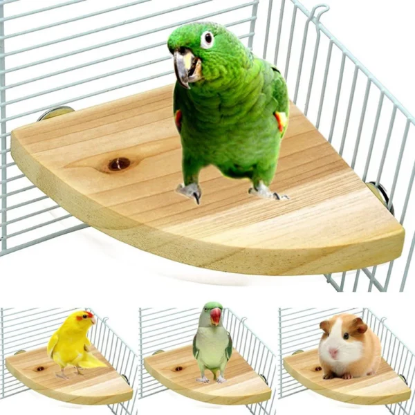 Fan-shaped Parrot Wooden Stand Rack Bird Cage Accessories Perch for Small Animal Chinchilla Squirrel Hamster Bird Stand Board - Image 2