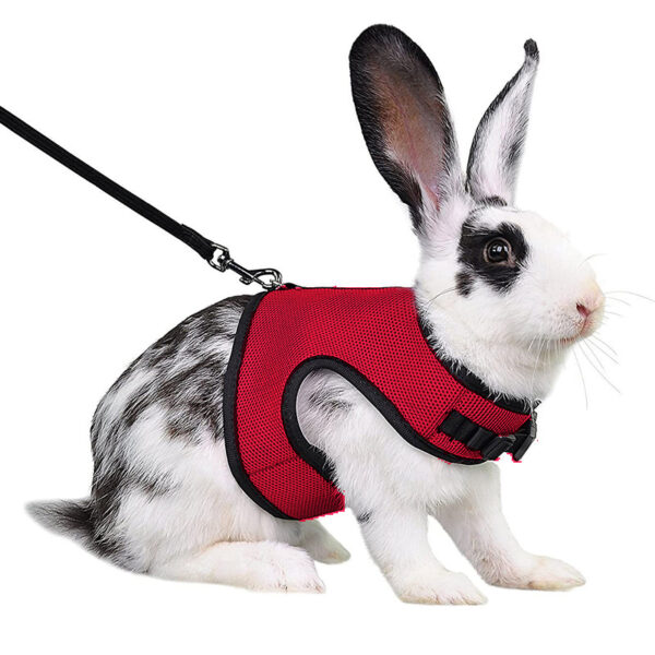 Mesh Breathable Pet leash Ferret Leash Set for Small Animals Rabbit Hamsters Summer Walking Pet Lead mascotas Accessories - Image 12