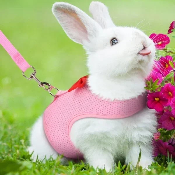 Adjustable Bunny Harness And Leash Set Soft Pet Harness Vest Cloth Lead For Small Animals Rabbits Ferret Kitten - Image 2