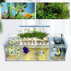 4-Grid Acrylic Fish Tank with LED Light, 2.5W Low-Power, IPX8 Waterproof, Tabletop Aquarium for Fighting Fish, Shrimp & More