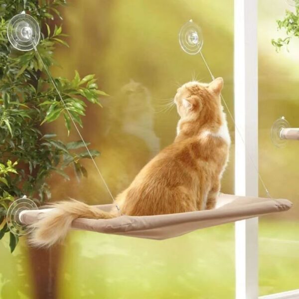 Cat hammock, cat window suction cup, cat nest, cat climbing frame, suspended balcony, glass, sun drying, pet cat bedding supplie - Image 4