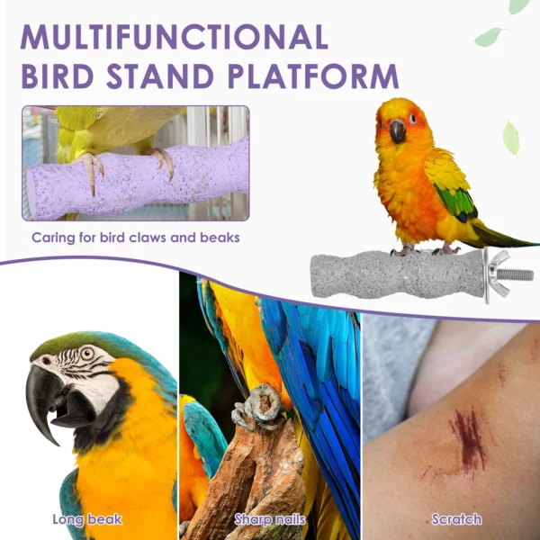 4Pcs Bird Chewing Toy Resin Bird Parrot Cage Perch Stand Platform Bird Beak Grinding Stone Set Bird Cage Accessory Pet Supplies - Image 3