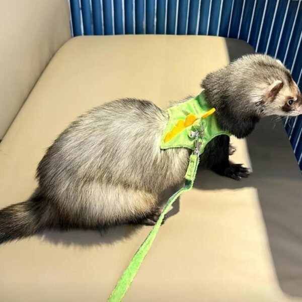 Adjustable Ferret Drawstring Vest  With Bell Pet Outdoor Walking Rope Bunny Harness Harness Vest Dinosaur Design Pet Accessories - Image 2