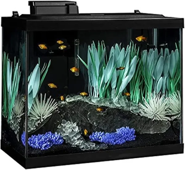 ColorFusion Aquarium 20 Gallon Fish Tank Kit, Includes LED Lighting and Decor - Image 7