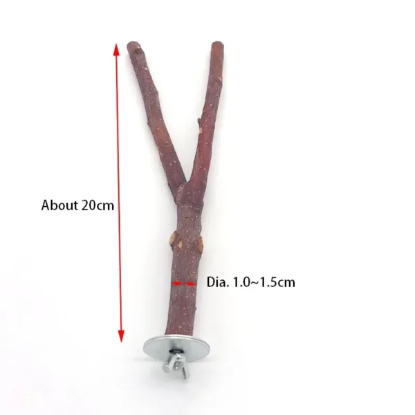Natural Wood Pet Parrot Raw Wood Fork Tree Branch Stand Rack Squirrel Bird Hamster Branch Perches Chew Bite Toys Stick - Image 15