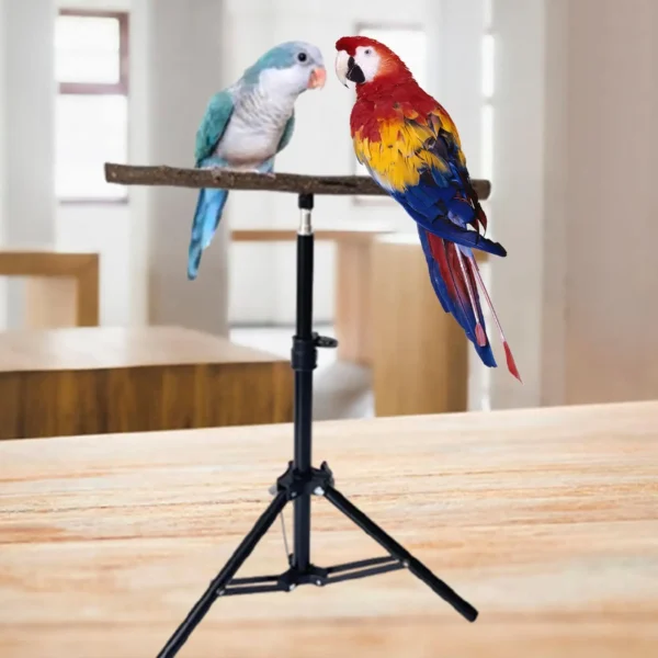 Wood Parrot Perch Portable Parrot Stand Retractable Height Tripod Pet Supplies for Conures Budgies Parakeets Small Bird Rest - Image 4
