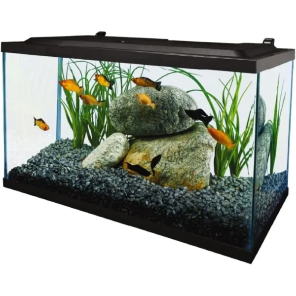 Aquarium, 10 Gallon, Complete Tropical Fish Tank Kit with LED Lighting for Freshwater Fish - Image 2