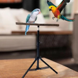 Wood Parrot Perch Portable Parrot Stand Retractable Height Tripod Pet Supplies for Conures Budgies Parakeets Small Bird Rest