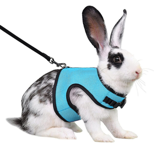 Mesh Breathable Pet leash Ferret Leash Set for Small Animals Rabbit Hamsters Summer Walking Pet Lead mascotas Accessories - Image 9