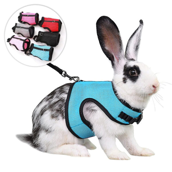 Mesh Breathable Pet leash Ferret Leash Set for Small Animals Rabbit Hamsters Summer Walking Pet Lead mascotas Accessories - Image 2