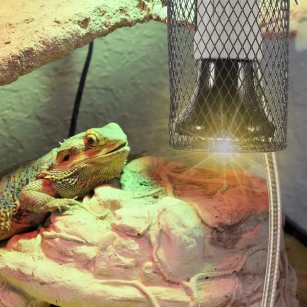 Reptile Ceramic Heating Lamp Pet Heat Bulb Set With Shade Habitat Lighting Ceramic Heat Lamp For Reptiles Pet Products - Image 5