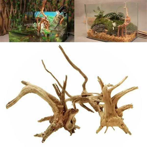 Fish Tank Decoration Natural Wooden Small Habitat Roots Driftwood Scenery  Decorative Ornaments Aquarium Landscape Tree Roots - Image 3