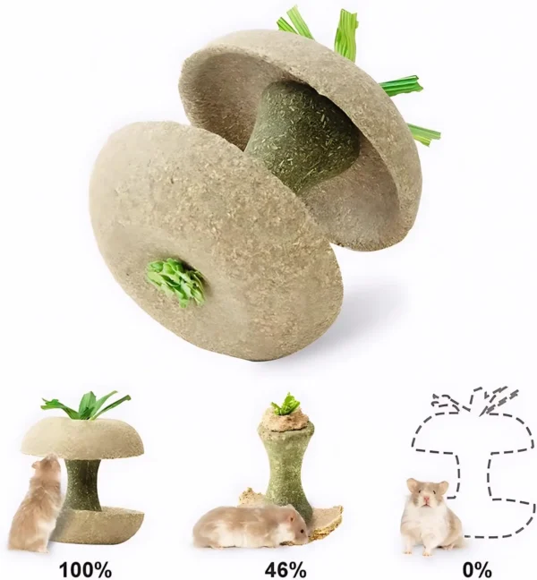 Apple Core Shaped Hamster Chew Toy - Natural Small Pet Dental Treat for Guinea Pig, Rabbit, Chinchilla, Rat - Image 3