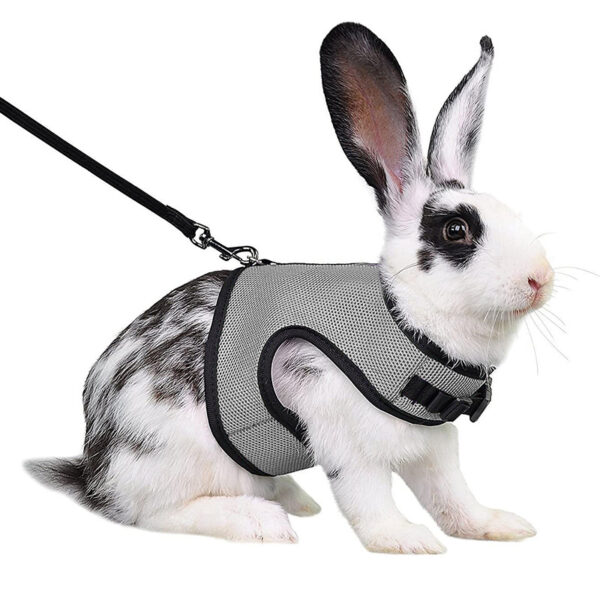 Mesh Breathable Pet leash Ferret Leash Set for Small Animals Rabbit Hamsters Summer Walking Pet Lead mascotas Accessories - Image 11