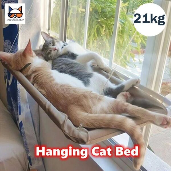 Cat hammock, cat window suction cup, cat nest, cat climbing frame, suspended balcony, glass, sun drying, pet cat bedding supplie