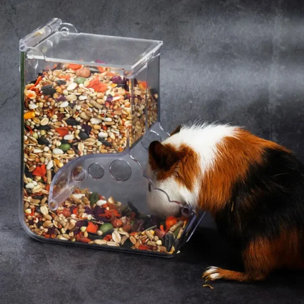 Hamster Rabbit Food Dispenser Feeder Plastic Clear Automatic Pet Feeder For Hamster Guinea Pigs Food Bowl Container - Image 3