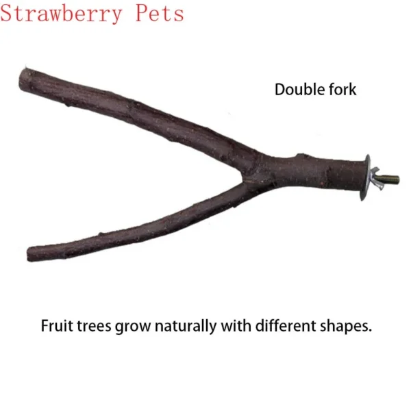 Natural Wood Pet Parrot Raw Wood Fork Tree Branch Stand Rack Squirrel Bird Hamster Branch Perches Chew Bite Toys Stick - Image 4