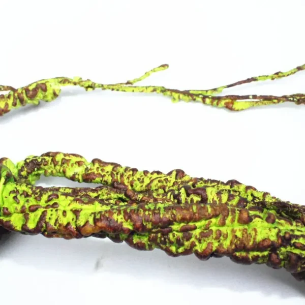 Reptile Landscaping Vine Fake Branches Rainforest Foam Rattan Terrarium Decor Habitat Decoration for Lizard Chameleon - Image 3