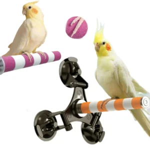 Suction Cup Bird Perch Quartz Sand Trimming Paws Triple Powerful Suction Cups Ideal Bird Window Perch for Any Smooth Surface